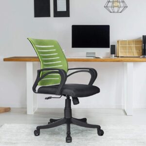 Finch Fox Medium Back Royal Ergonomic Desk Mesh Chair in Green & Black Colour