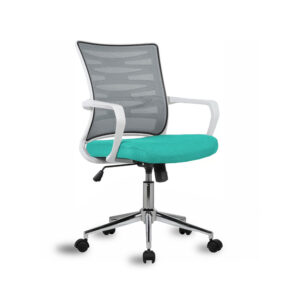 Fire Ergonomic Low Back Chair by Finch Fox