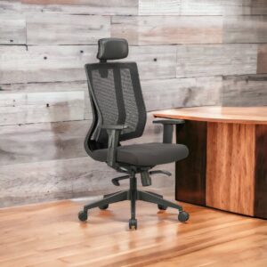 Franklin Ergonomic High Back Office Chair by Finch Fox