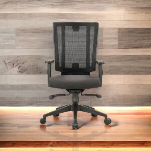 Franklin Ergonomic Medium Back Office Chair by Finch Fox